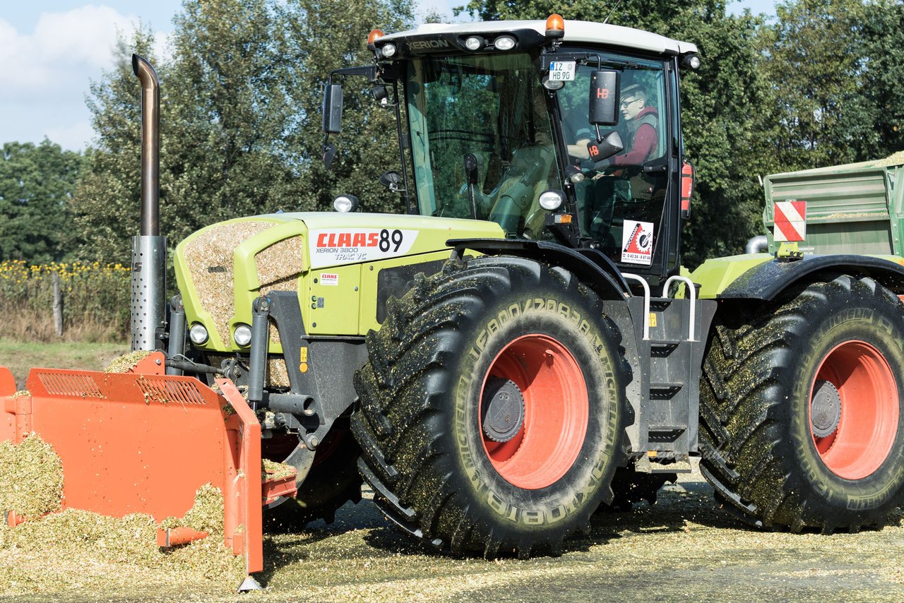 Bild 111 - Maisernte